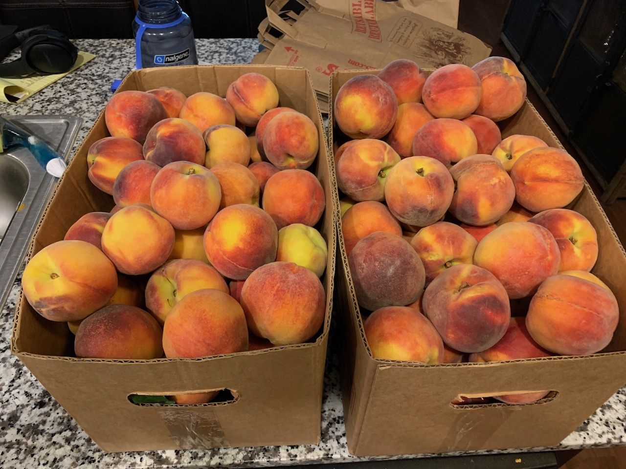 So many peaches